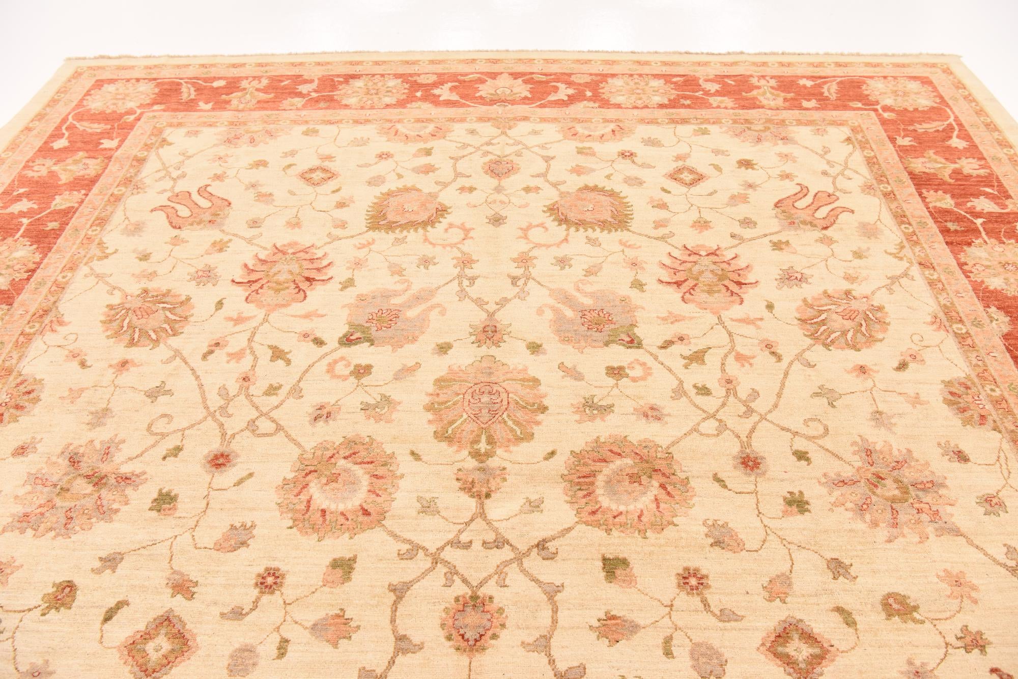 10' x 13' 9 Hand Knotted Peshawar Ziegler Rug