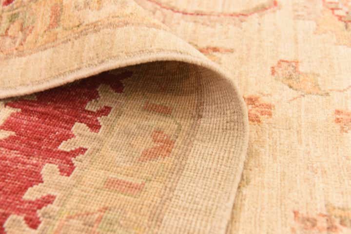 9' 11 x 12' 11 Hand Knotted Peshawar Ziegler Rug