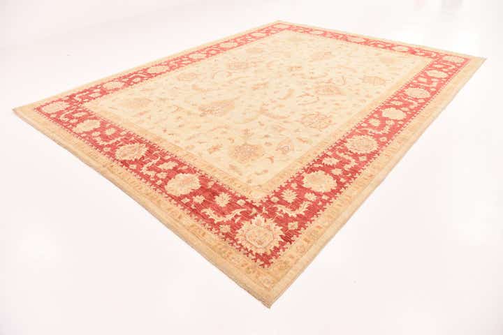 9' 11 x 12' 11 Hand Knotted Peshawar Ziegler Rug