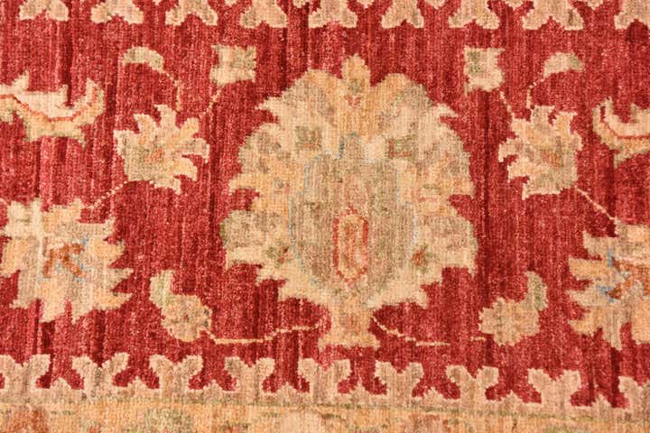 9' 11 x 12' 11 Hand Knotted Peshawar Ziegler Rug