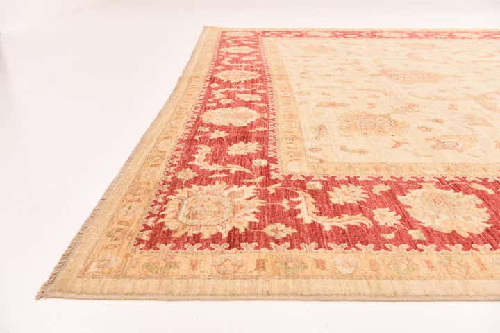 9' 11 x 12' 11 Hand Knotted Peshawar Ziegler Rug