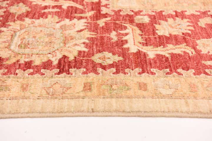 9' 11 x 12' 11 Hand Knotted Peshawar Ziegler Rug