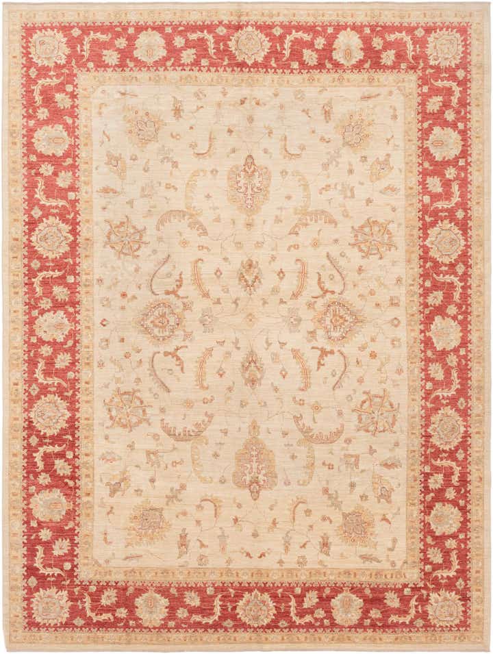 9' 11 x 12' 11 Hand Knotted Peshawar Ziegler Rug