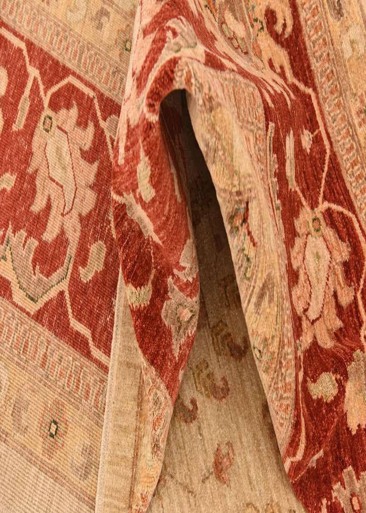 10' x 13' 2 Hand Knotted Peshawar Ziegler Rug