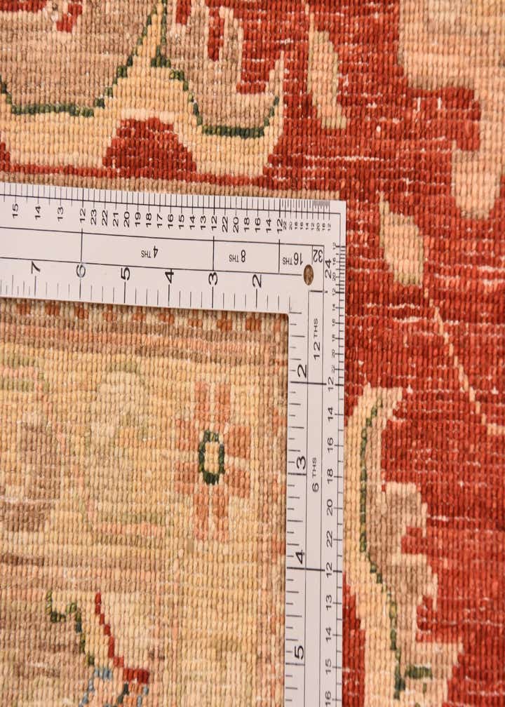 10' x 13' 2 Hand Knotted Peshawar Ziegler Rug