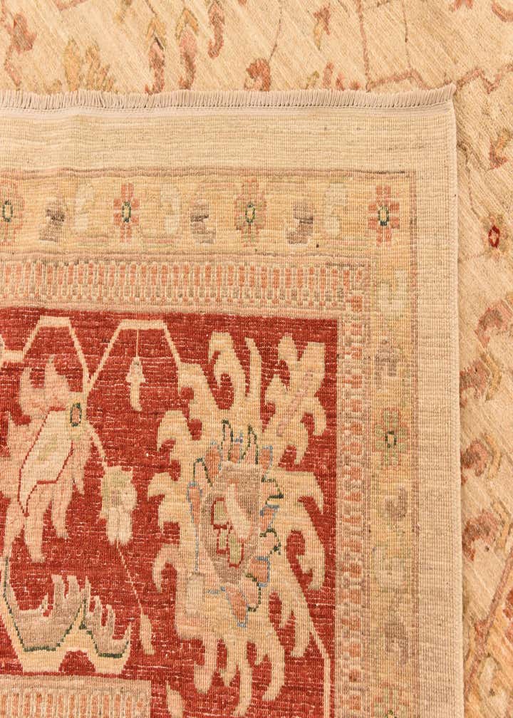 10' x 13' 2 Hand Knotted Peshawar Ziegler Rug