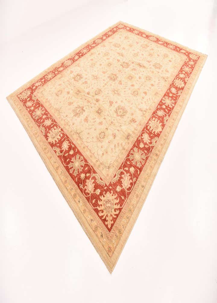 10' x 13' 2 Hand Knotted Peshawar Ziegler Rug