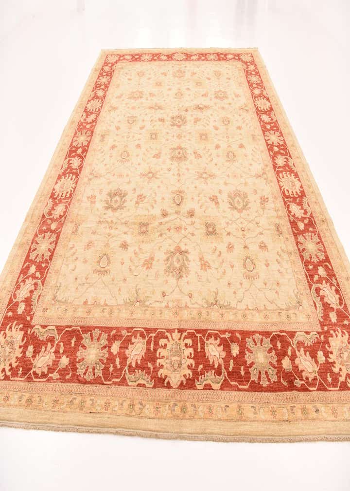 10' x 13' 2 Hand Knotted Peshawar Ziegler Rug