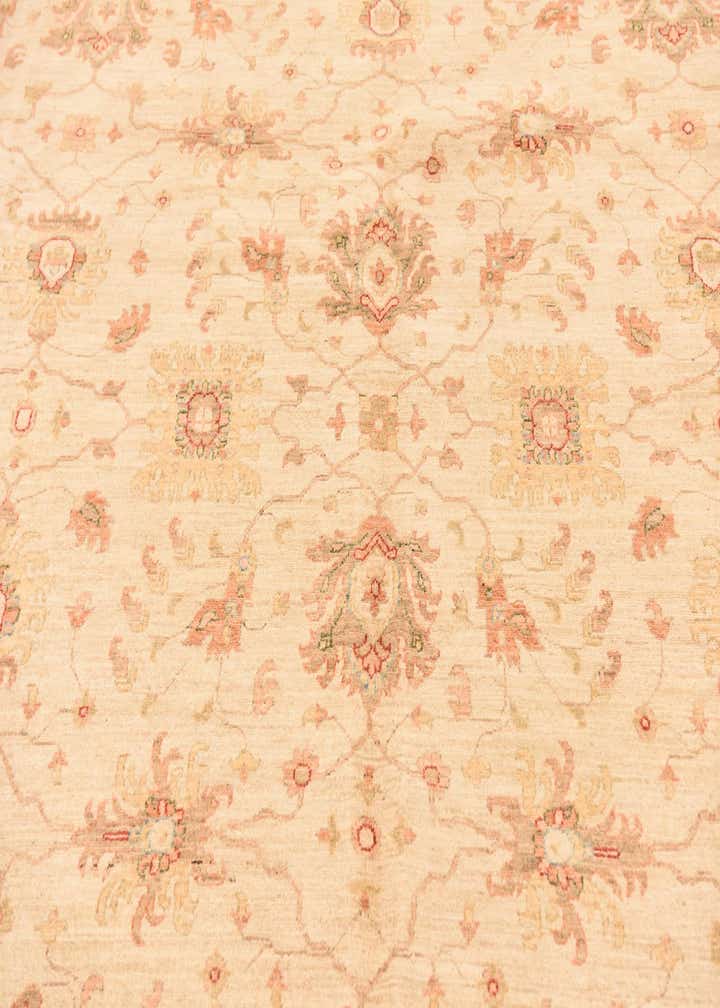 10' x 13' 2 Hand Knotted Peshawar Ziegler Rug