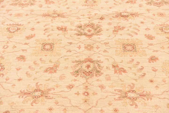 10' x 13' 2 Hand Knotted Peshawar Ziegler Rug