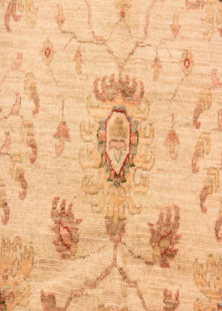 10' x 13' 2 Hand Knotted Peshawar Ziegler Rug