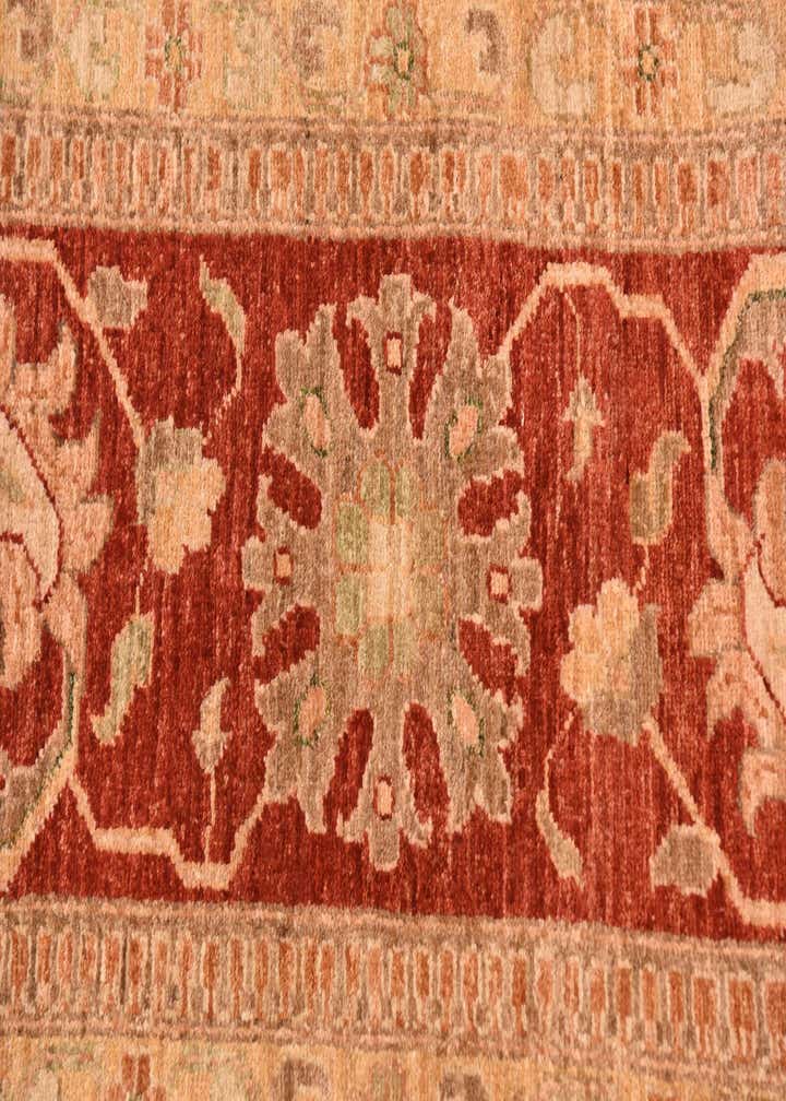 10' x 13' 2 Hand Knotted Peshawar Ziegler Rug