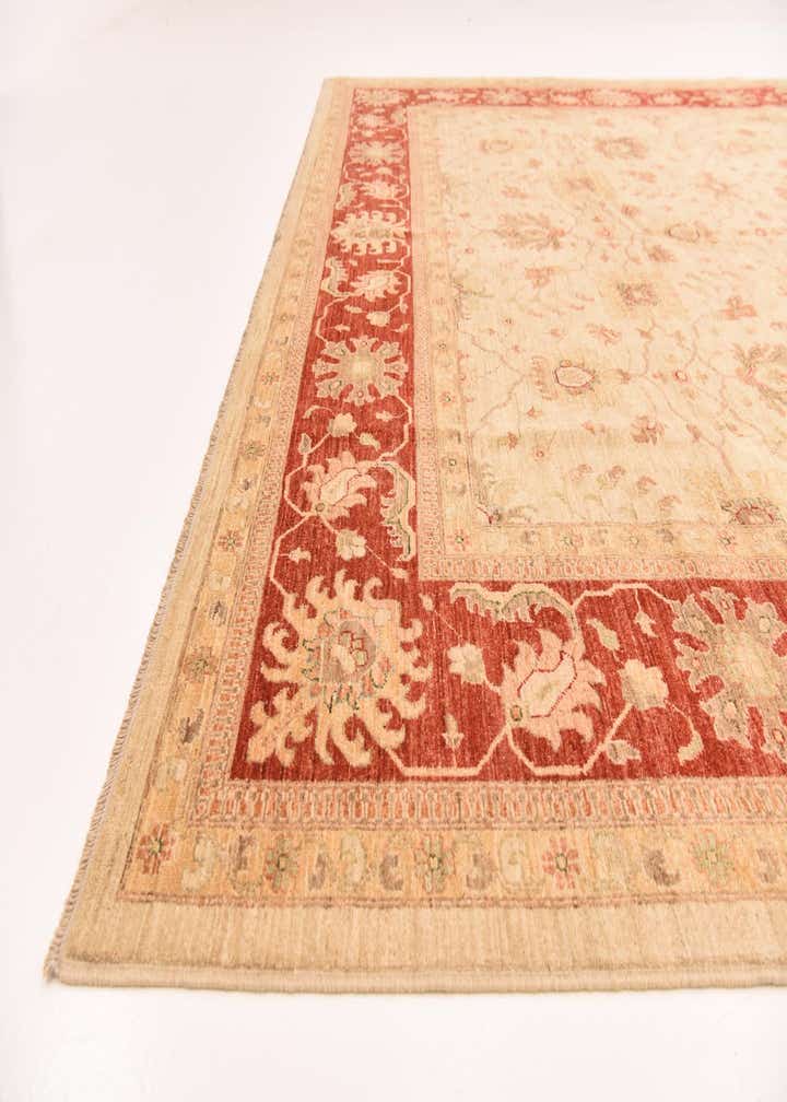10' x 13' 2 Hand Knotted Peshawar Ziegler Rug