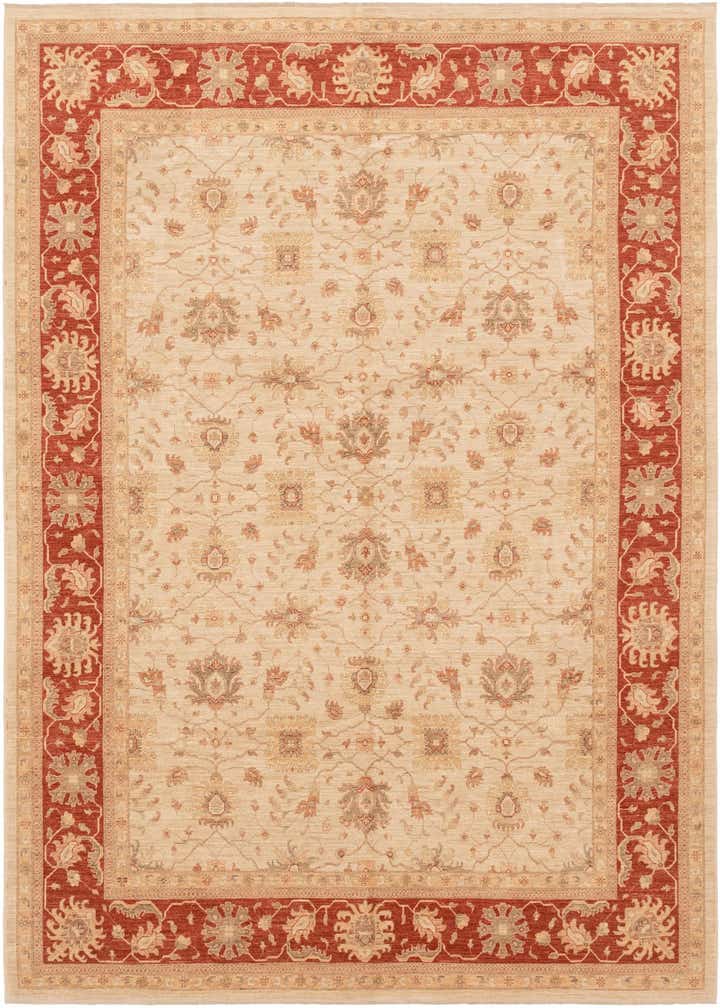 10' x 13' 2 Hand Knotted Peshawar Ziegler Rug
