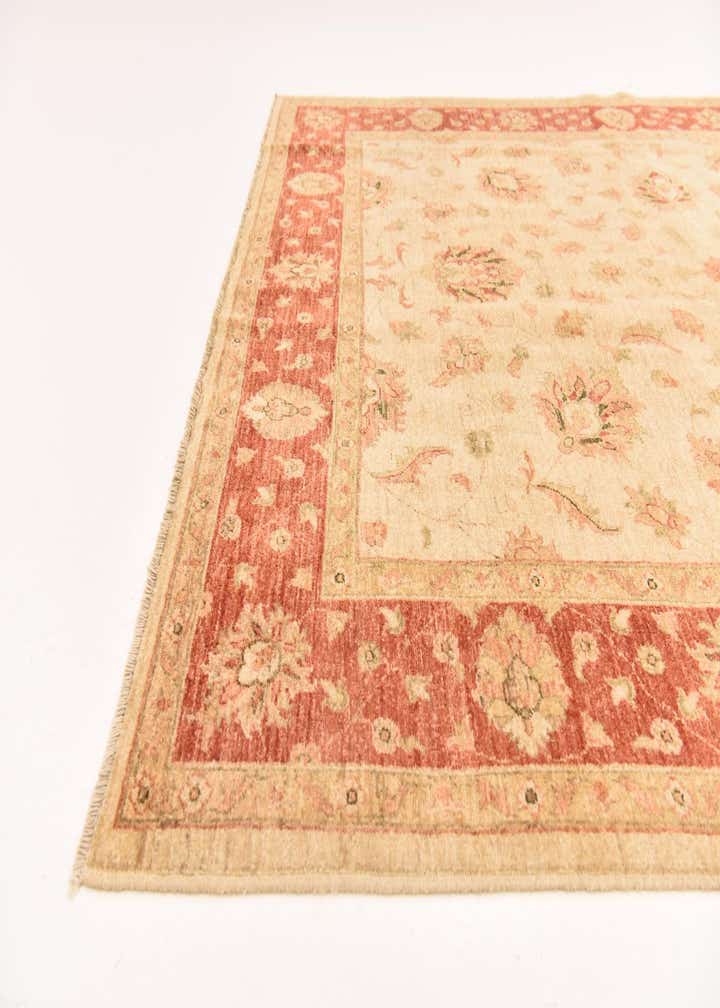 6' 8 x 8' 2 Hand Knotted Peshawar Ziegler Rug
