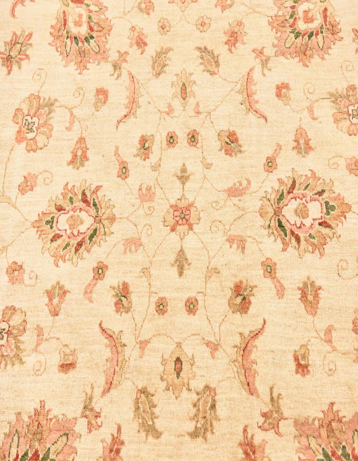Detail image of 6' 3 x 8' 3  Hand Knotted Peshawar Ziegler Rug