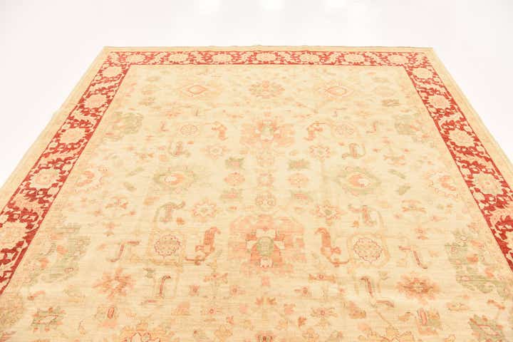 8' 2 x 9' 9 Hand Knotted Peshawar Ziegler Rug