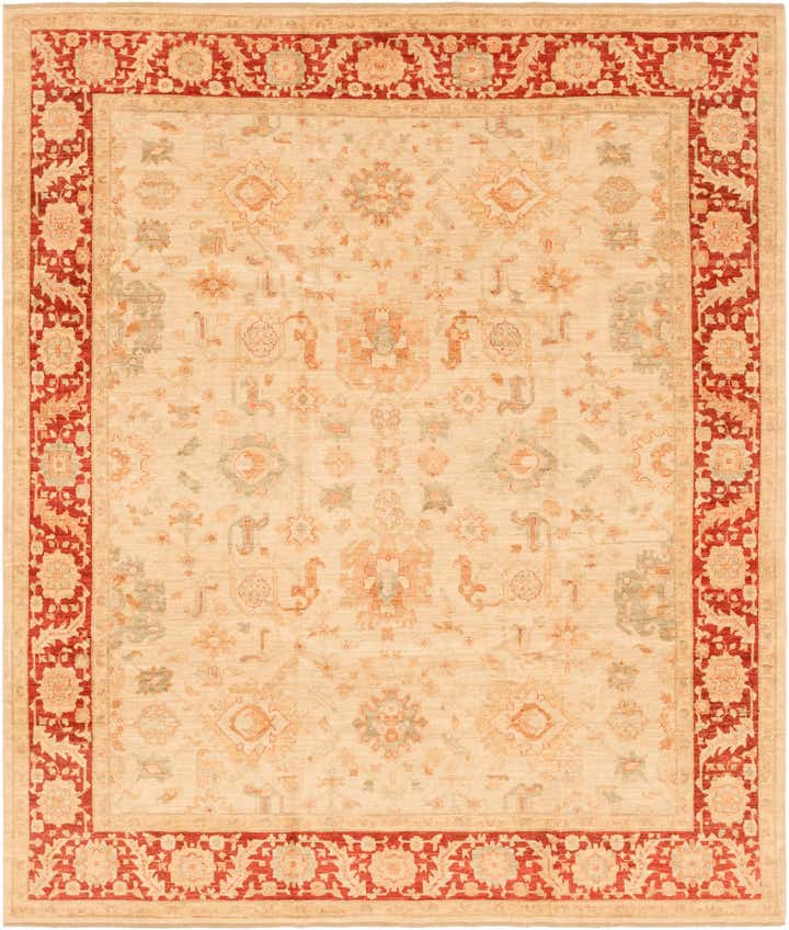 8' 2 x 9' 9 Hand Knotted Peshawar Ziegler Rug