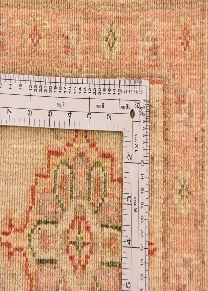 9' 1 x 11' 11 Hand Knotted Peshawar Ziegler Rug