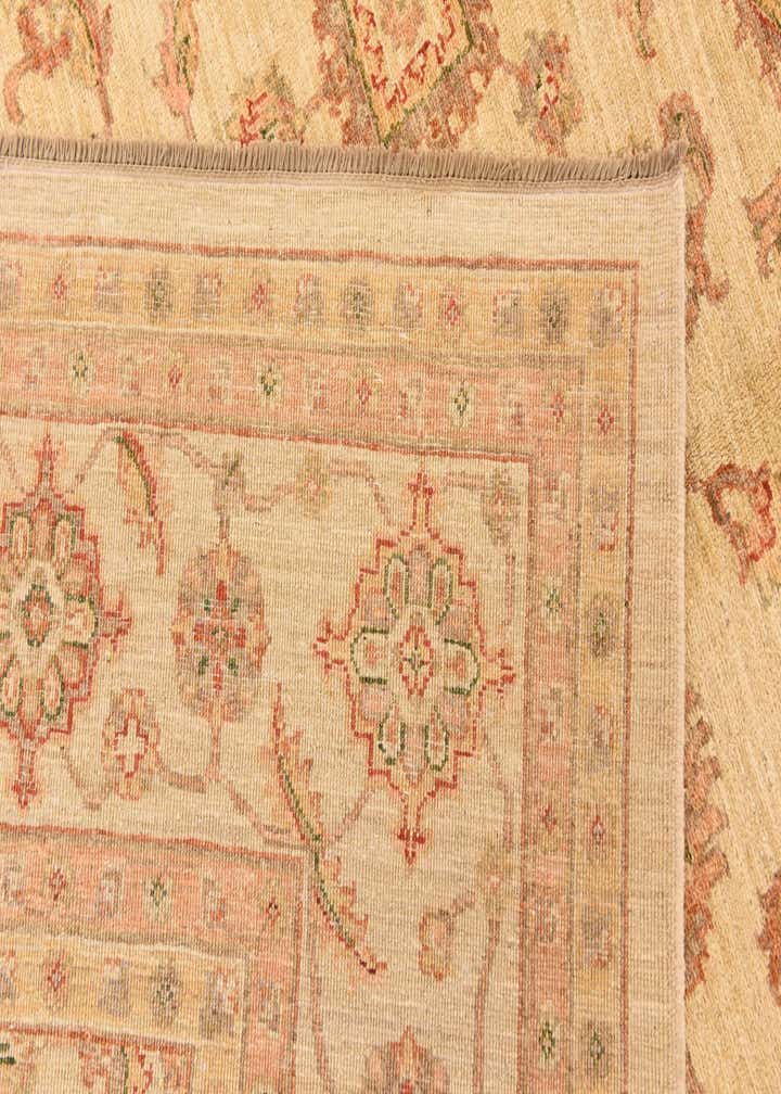 9' 1 x 11' 11 Hand Knotted Peshawar Ziegler Rug