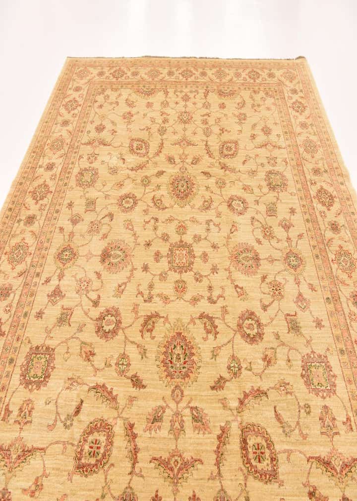 9' 1 x 11' 11 Hand Knotted Peshawar Ziegler Rug
