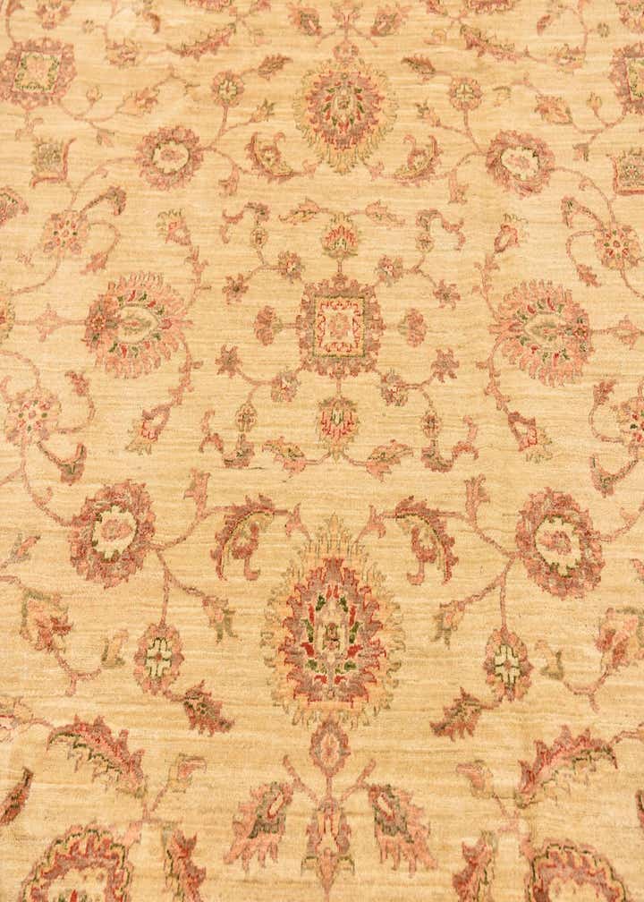 9' 1 x 11' 11 Hand Knotted Peshawar Ziegler Rug