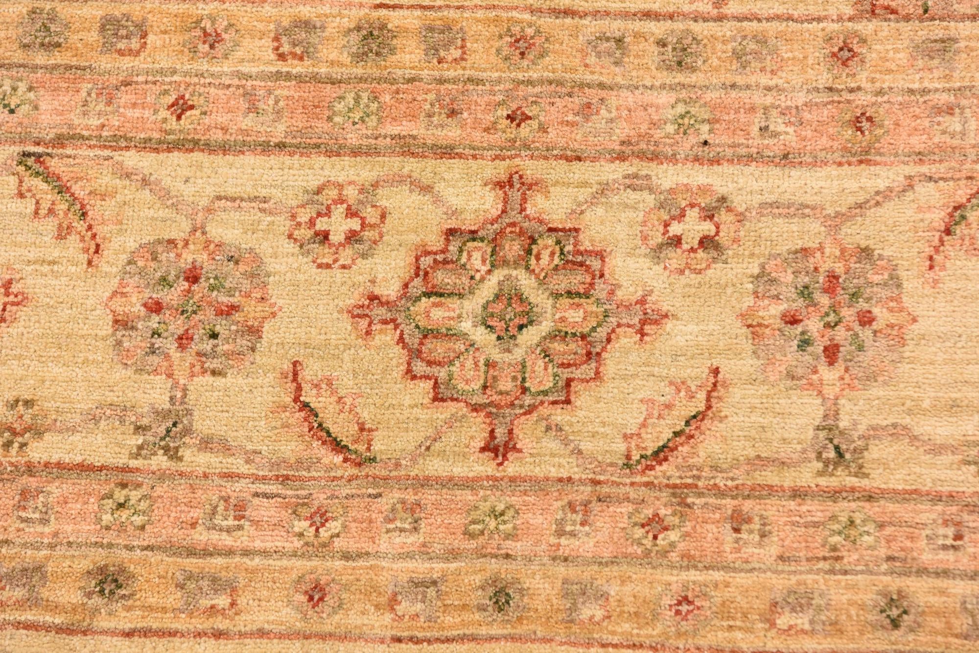 9' 1 x 11' 11 Hand Knotted Peshawar Ziegler Rug
