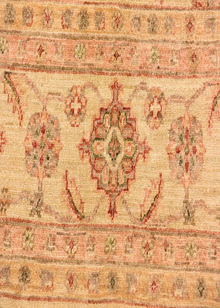 9' 1 x 11' 11 Hand Knotted Peshawar Ziegler Rug