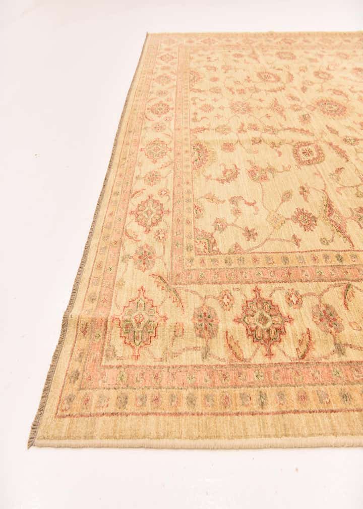 9' 1 x 11' 11 Hand Knotted Peshawar Ziegler Rug