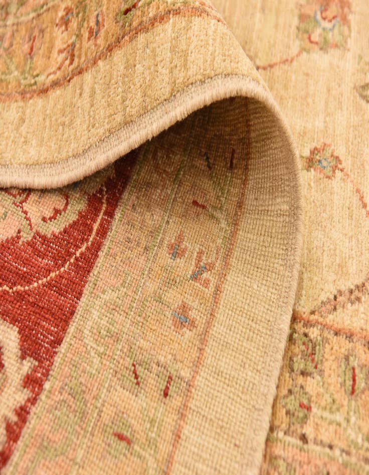 Detail image of 9' 10 x 12' 9  Hand Knotted Peshawar Ziegler Rug