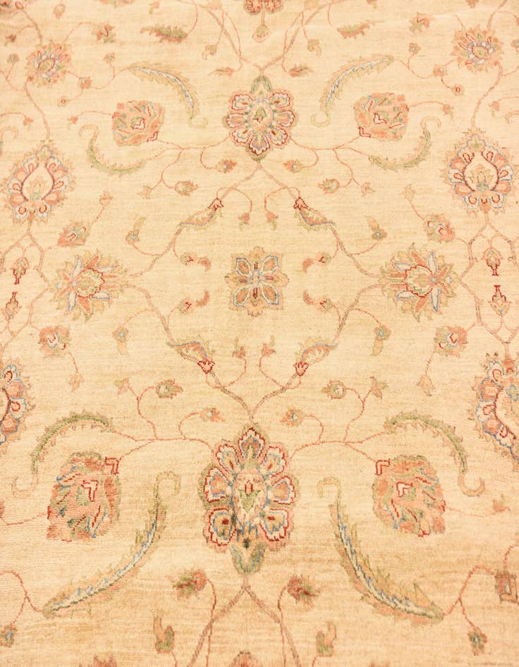 Detail image of 9' 10 x 12' 9  Hand Knotted Peshawar Ziegler Rug