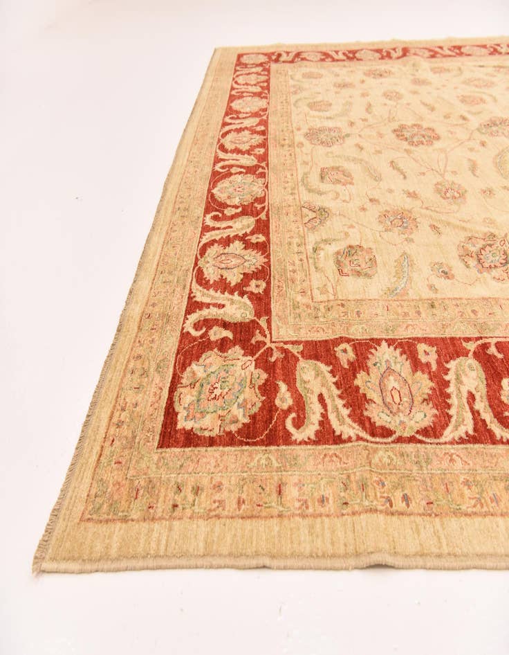 Detail image of 9' 10 x 12' 9  Hand Knotted Peshawar Ziegler Rug