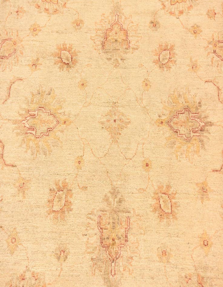 Detail image of 5' 7 x 7' 9  Hand Knotted Peshawar Ziegler Rug