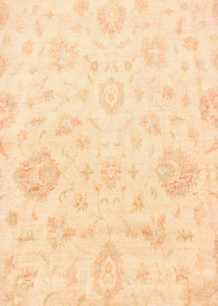 6' 8 x 9' 9 Hand Knotted Peshawar Ziegler Rug