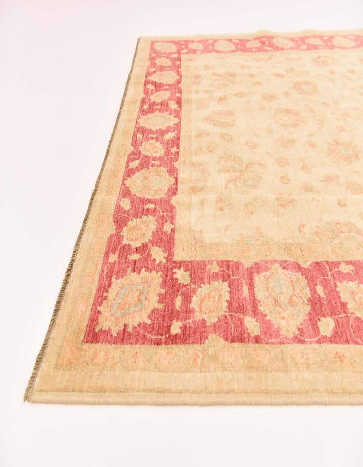 Detail image of 6' 8 x 9' 9  Hand Knotted Peshawar Ziegler Rug