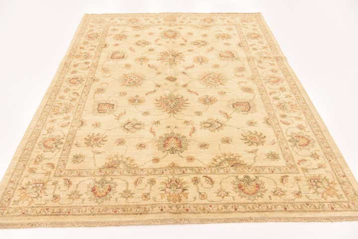4' 10 x 6' 3 Hand Knotted Peshawar Ziegler Rug