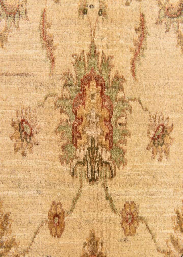4' 10 x 6' 3 Hand Knotted Peshawar Ziegler Rug