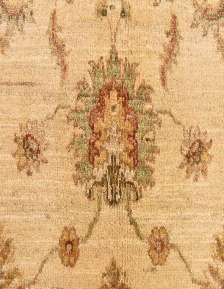 Detail image of 4' 10 x 6' 3 Hand Knotted Peshawar Ziegler Rug