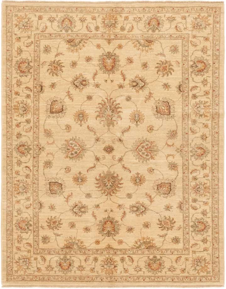 4' 10 x 6' 3 Hand Knotted Peshawar Ziegler Rug