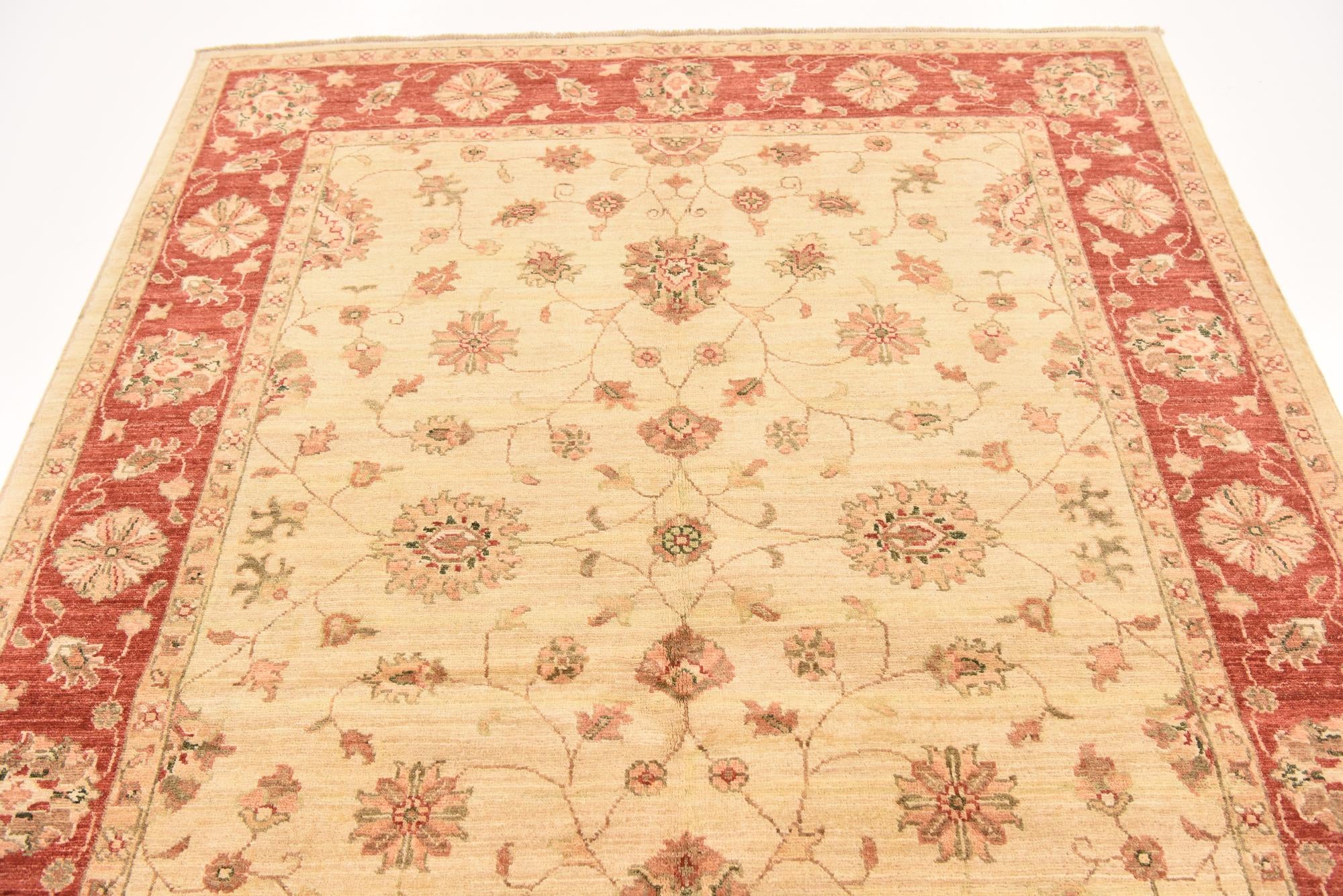 5' 3 x 6' 6 Hand Knotted Peshawar Ziegler Rug