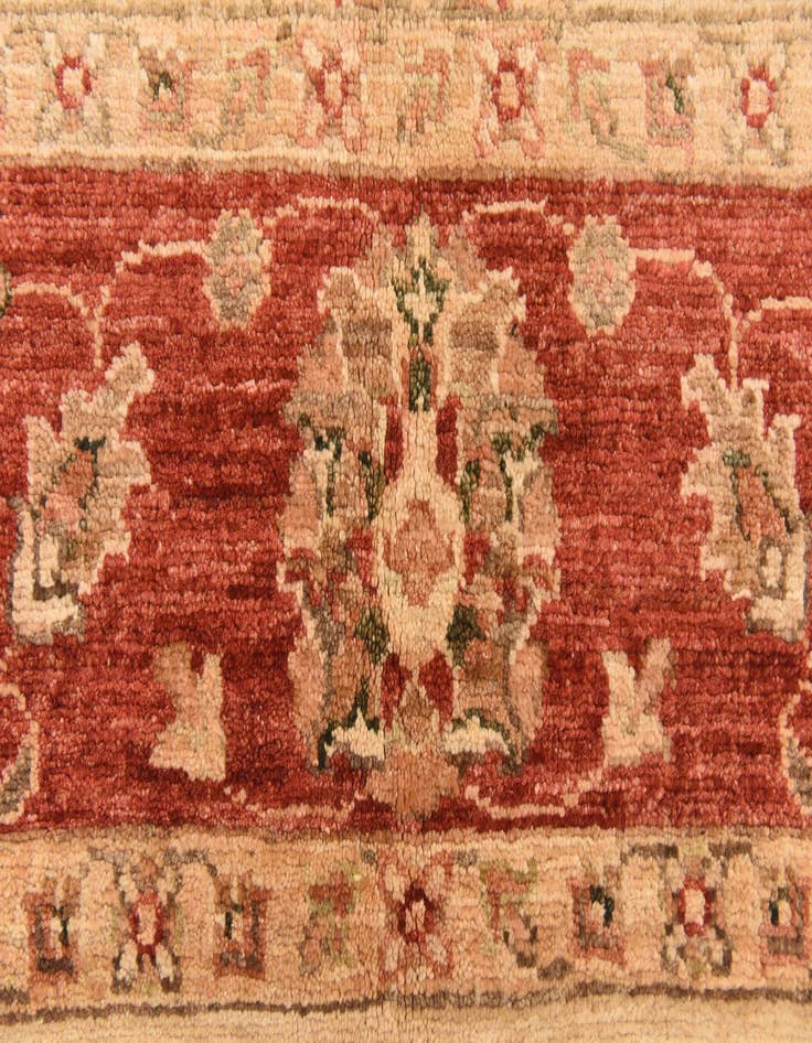 Detail image of 5' 3 x 6' 6  Hand Knotted Peshawar Ziegler Rug