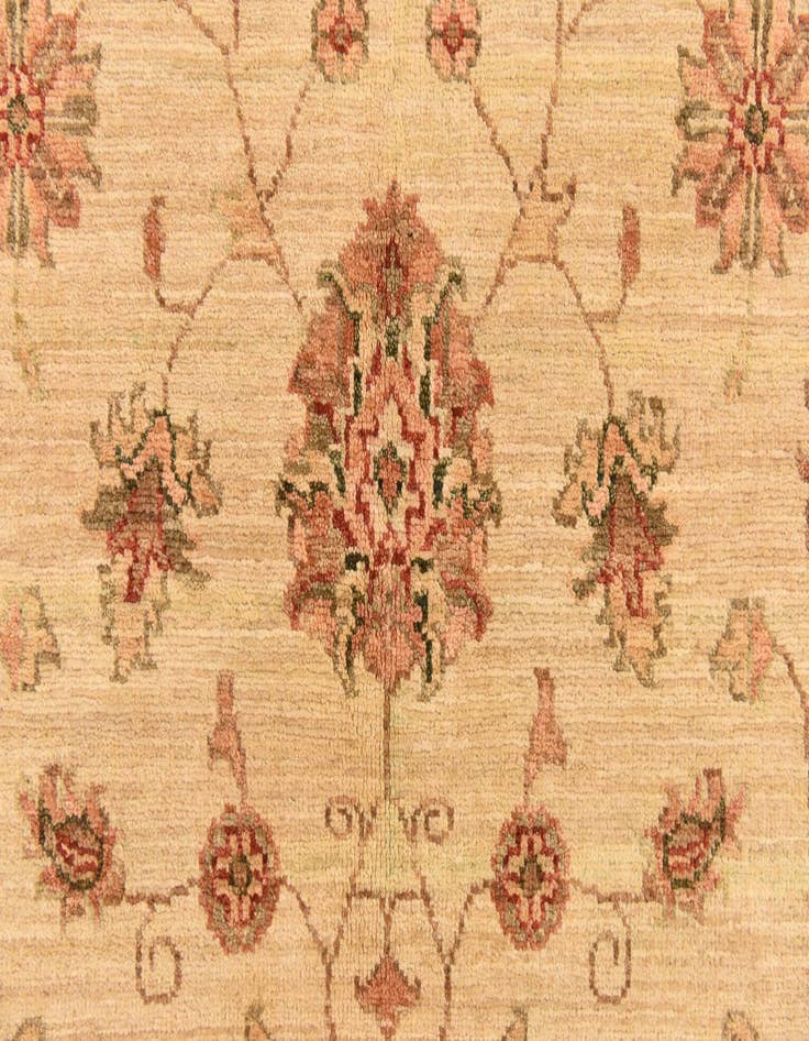 Detail image of 5' 3 x 6' 6  Hand Knotted Peshawar Ziegler Rug