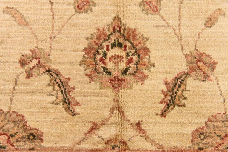 Detail image of 5' x 6' 7 Hand Knotted Peshawar Ziegler Rug
