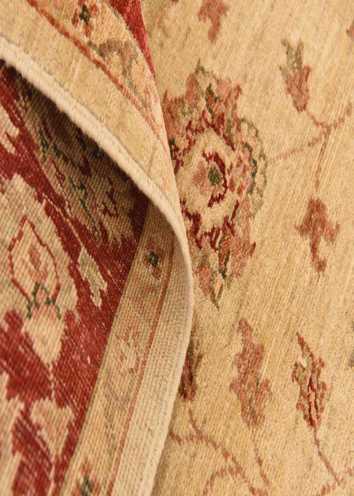 5' 2 x 6' 4 Hand Knotted Peshawar Ziegler Rug