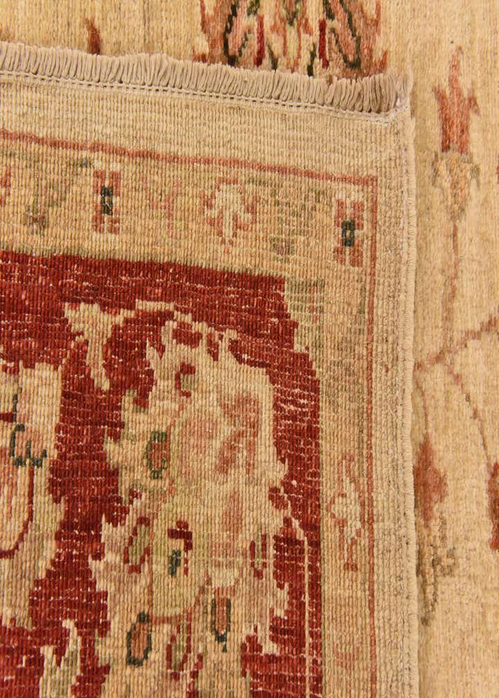 5' 2 x 6' 4 Hand Knotted Peshawar Ziegler Rug