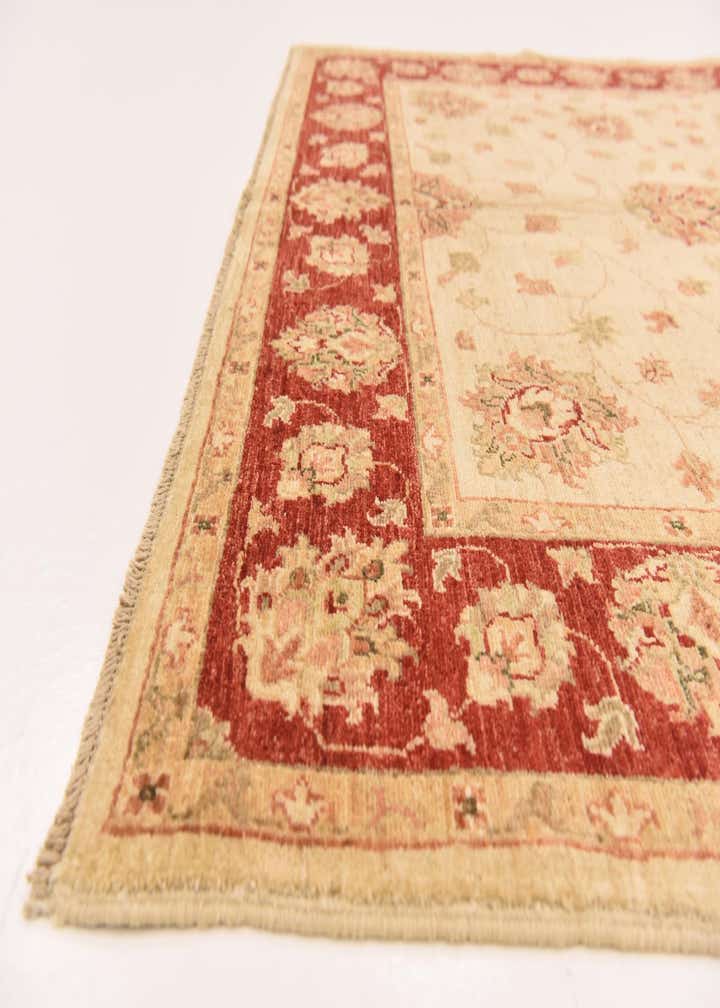 5' 2 x 6' 4 Hand Knotted Peshawar Ziegler Rug