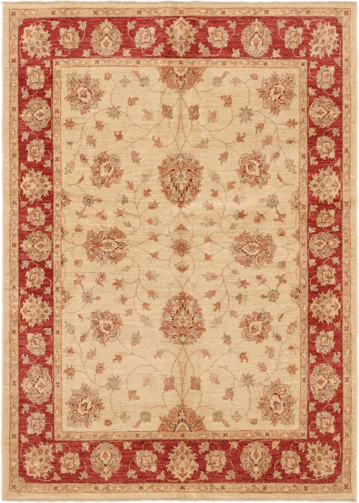 5' 2 x 6' 4 Hand Knotted Peshawar Ziegler Rug