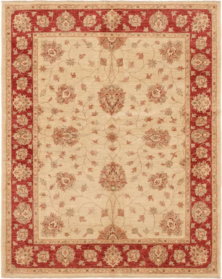 5' 2 x 6' 4 Hand Knotted Peshawar Ziegler Rug