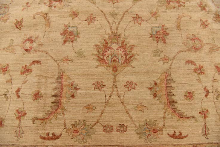 Detail image of 8' 3 x 11' 4 Hand Knotted Peshawar Ziegler Rug