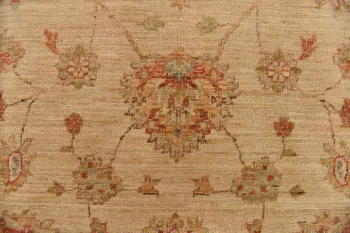 8' 3 x 11' 4 Hand Knotted Peshawar Ziegler Rug